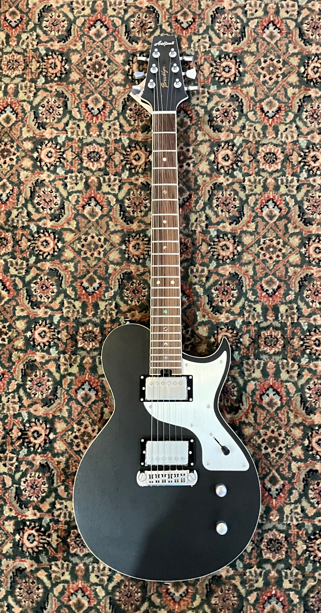 Aria ProⅡ MOD Aria ProⅡ MOD Aria pro II ZZ custom : r/metalguitar