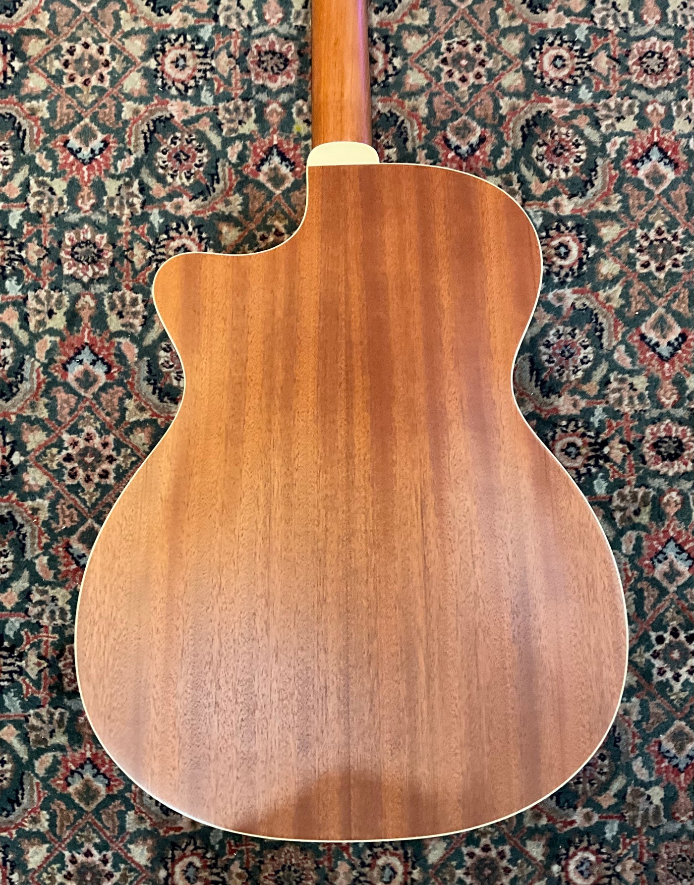 Guild DM-240CE