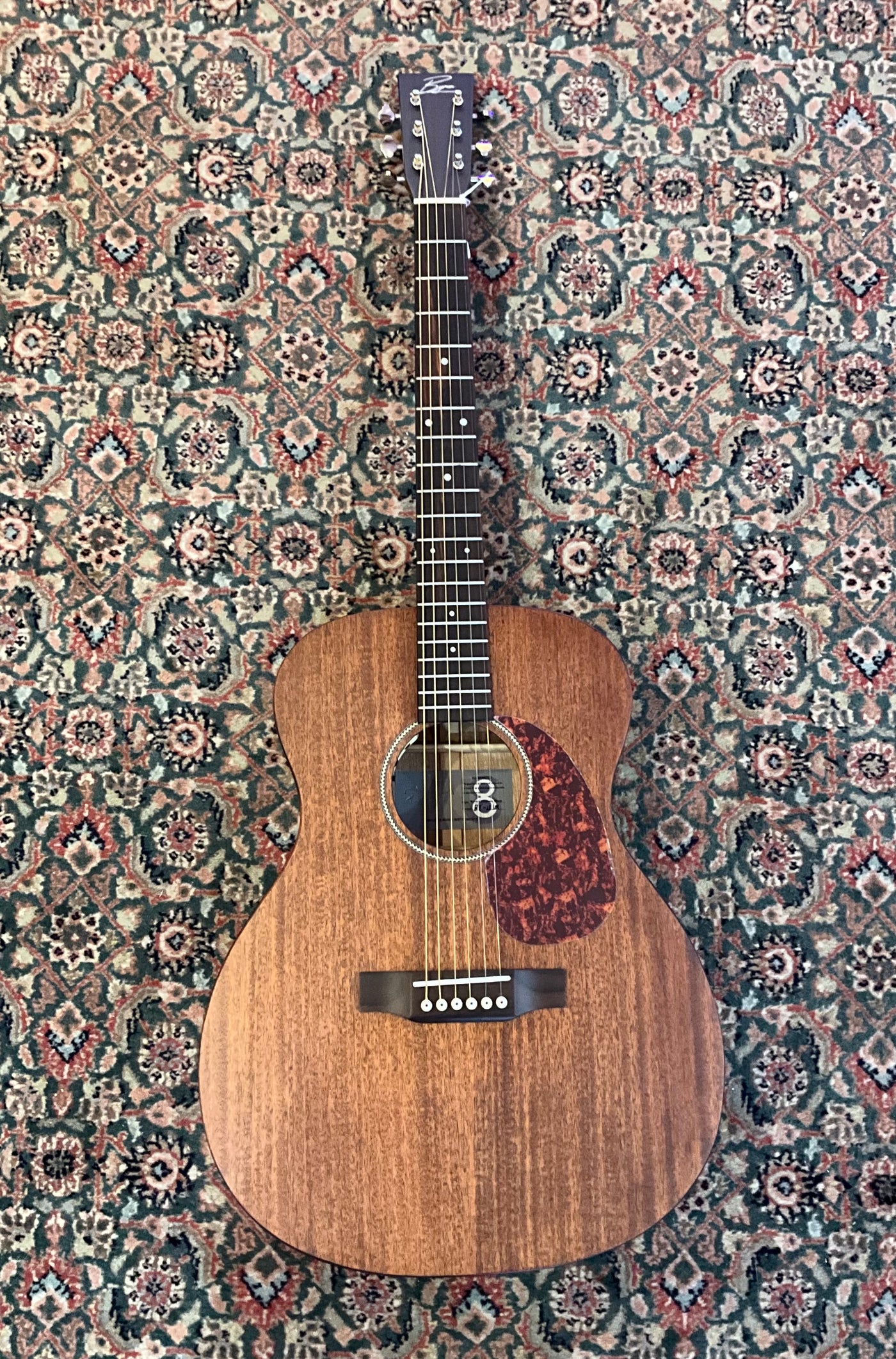 Byron Guitars solid Mahogany A/E