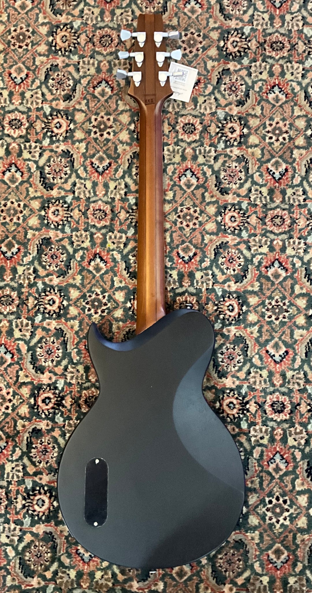 Aria Pro II Brooklyn Series – Galveston Guitar Lounge