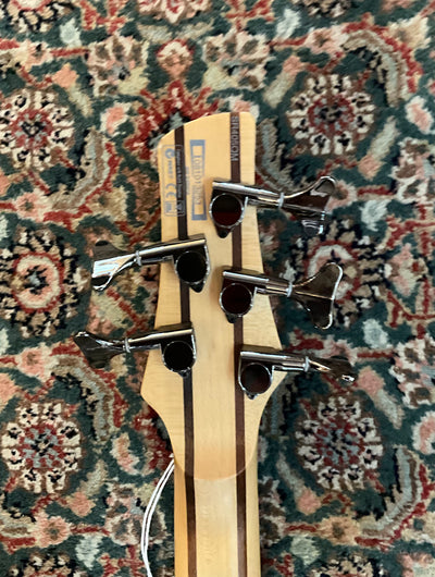 Sound Gear by Ibanez 5-string Bass