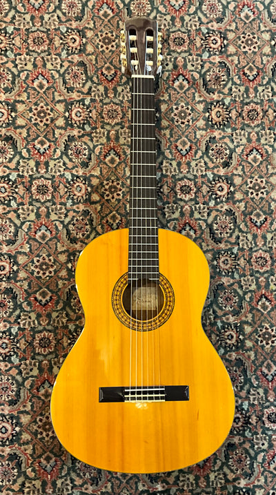 Takamine G-124S Classical